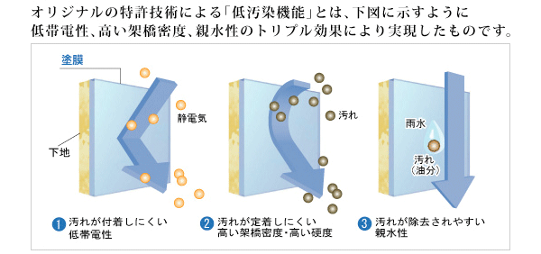 クールタイト図説